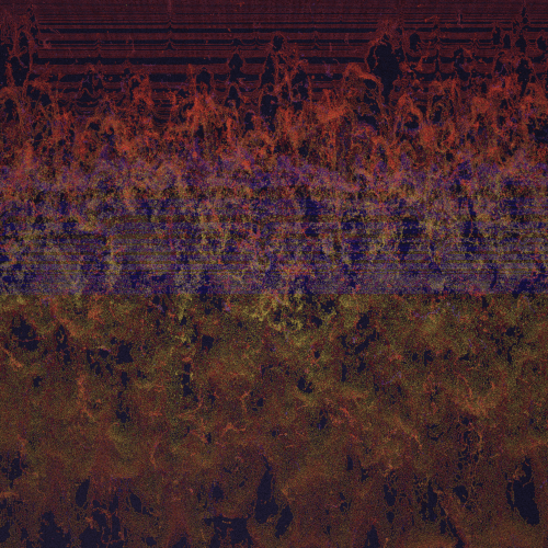 Experiments with real flow fluid simulations