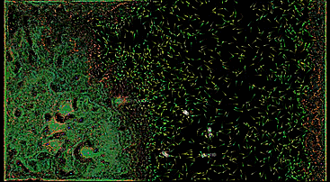 Aesthetic and behavioral Evolution of Evolving Virtual Ecosystem where three different autonomous agents species interact crossover and evolve with genetic algorithms